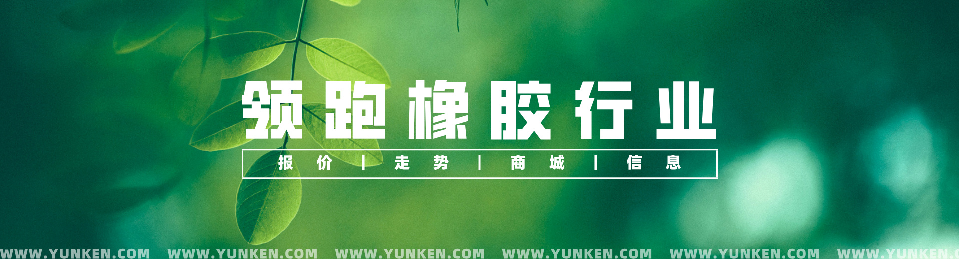 领跑橡胶行业banner