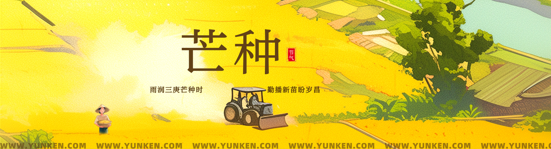 二〇二六〇六〇五芒种banner