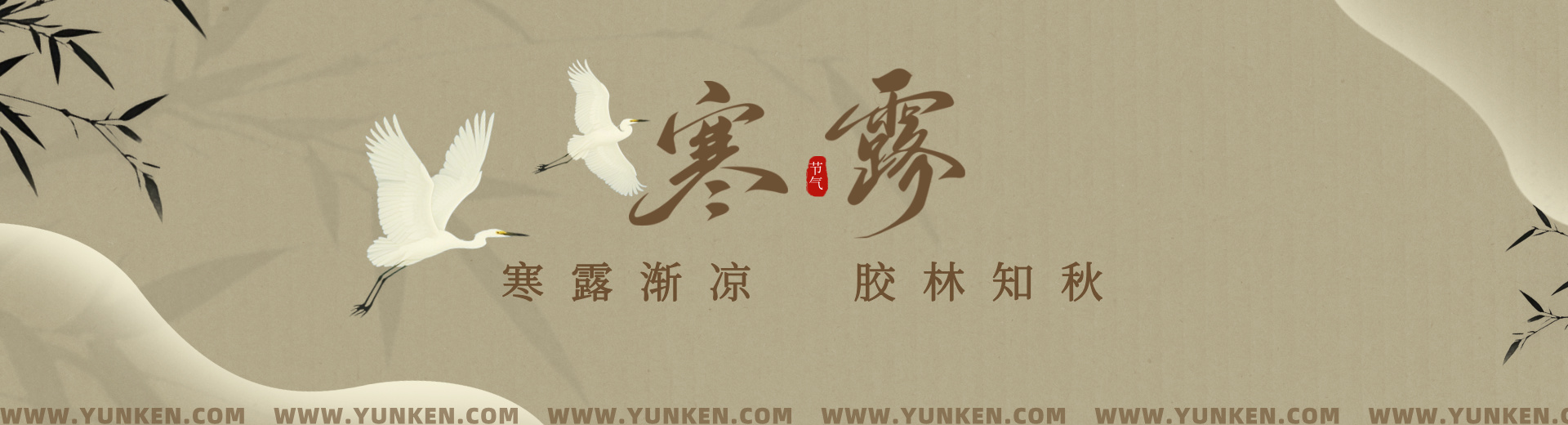 二〇二六一〇〇八寒露banner