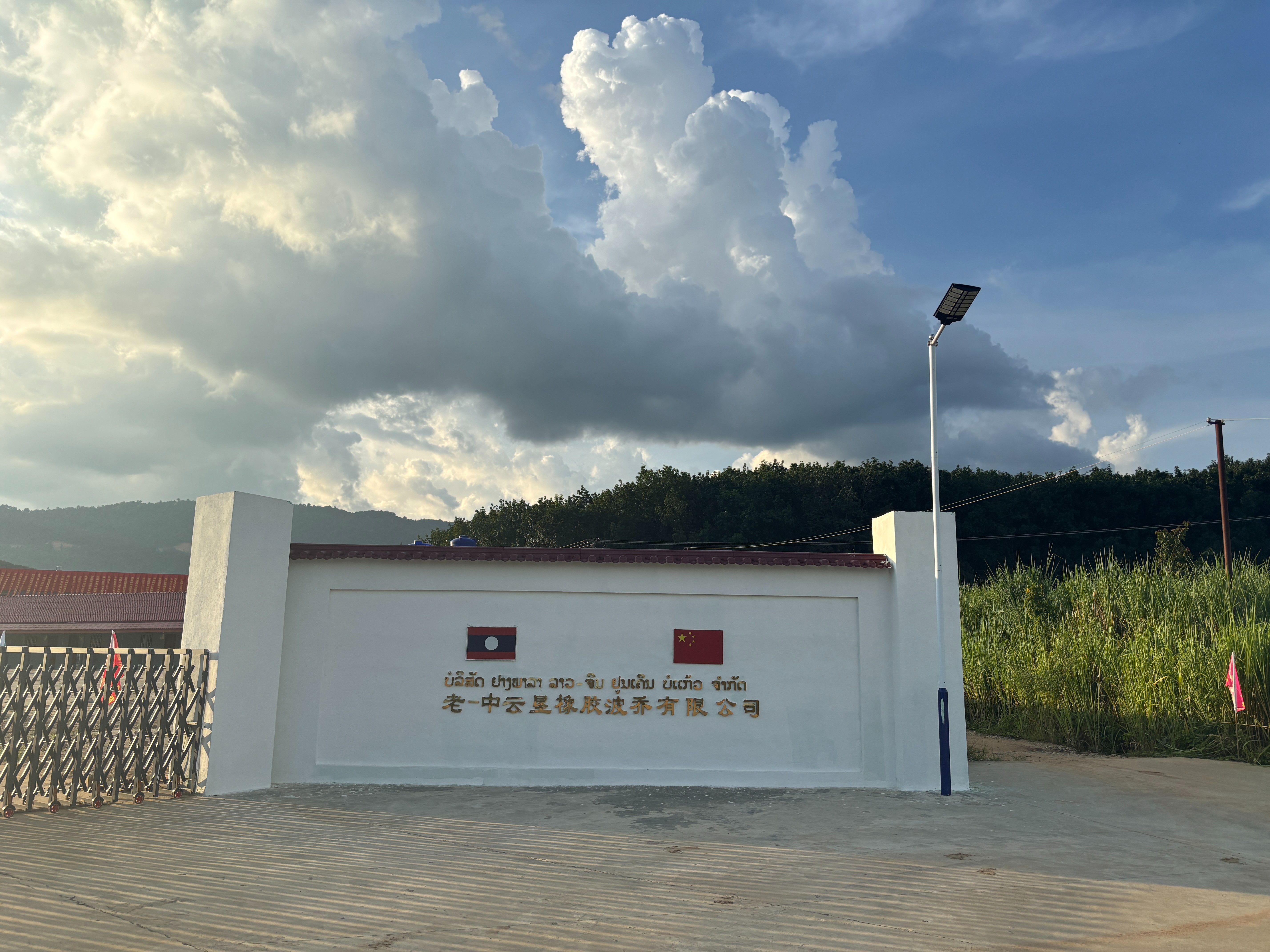 老-中云垦橡胶波乔有限公司工厂盛大开业,扎根波乔热土,共绘橡胶产业新图景